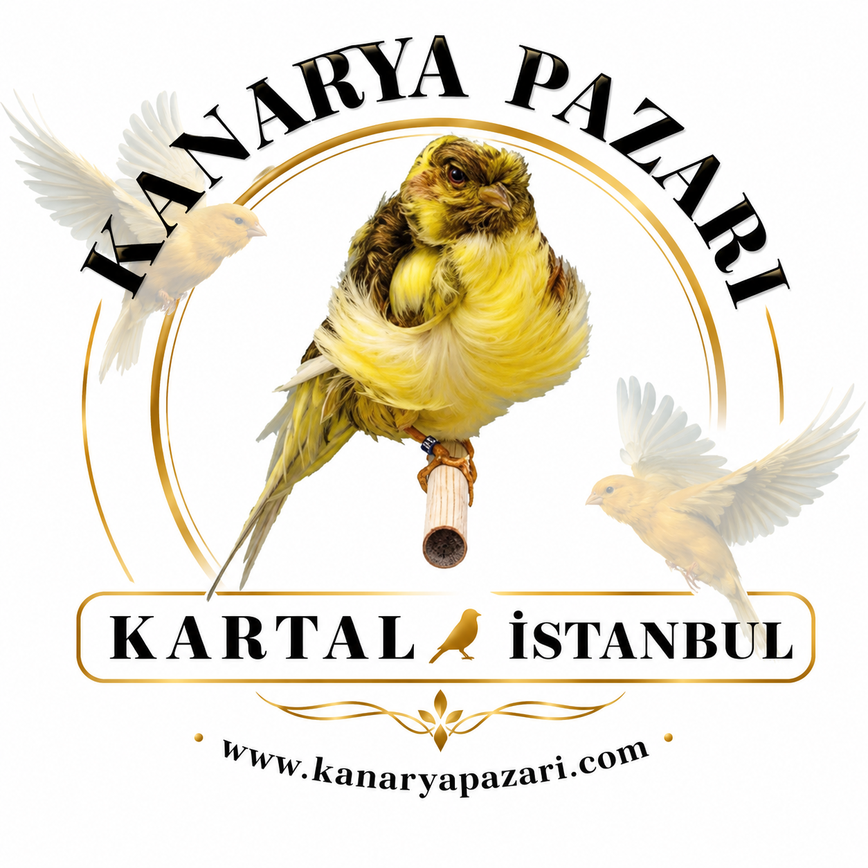 Kanarya Pazari İlan Sitesi